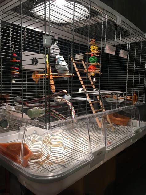 Hagen Vision Bird Cage For Canaries Petco