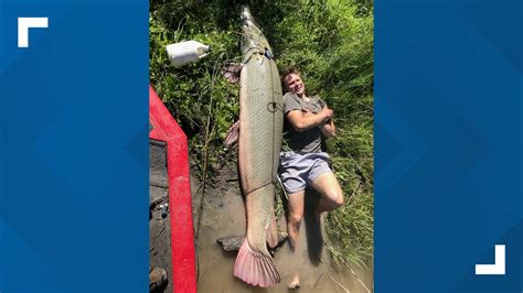 Texas Angler Lays Next To Record Alligator Gar