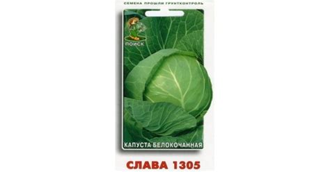Капуста Слава 1305 купить в интернет-магазине Чистый Мир.