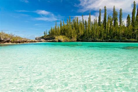 Natural Pool Of Oro Bay Isle Of Pines Stock Image Image Of