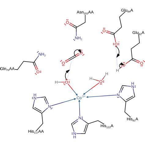 M Csa Mechanism And Catalytic Site Atlas