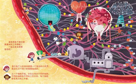 少儿科普书 小身体 已出版 插画 儿童插画 奔跑安妮 原创作品 站酷 Zcool