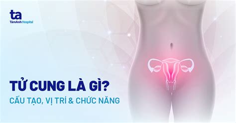 Tìm hiểu 6 gọi là gì và tầm quan trọng của nó trong khoa học công nghệ