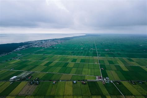 Aerial View Of A Cropland · Free Stock Photo