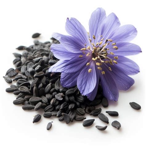 Premium Photo Black Cumin Seeds With Nigella Sativa Flower Isolated