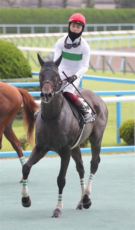 【播磨の土曜競馬コラム・阿蘇s】 日刊ゲンダイ競馬