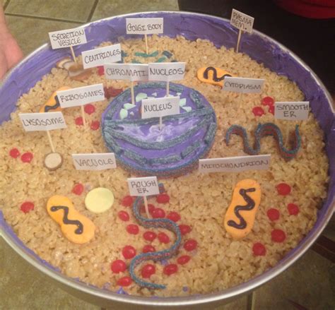 Animal Edible Cell Project