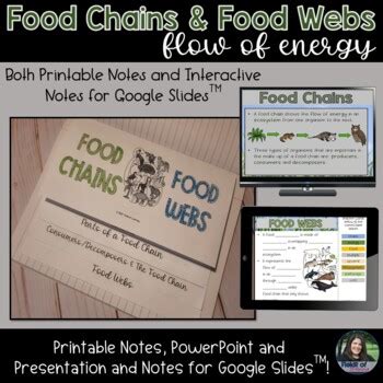 Food Chains Food Webs Presentation Printable Digital Notes TPT