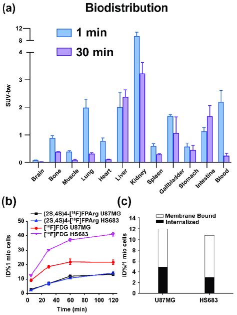 A In Vivo Biodistribution Of 2S 4S 4 18 F FPArg In BALB C Mouse N