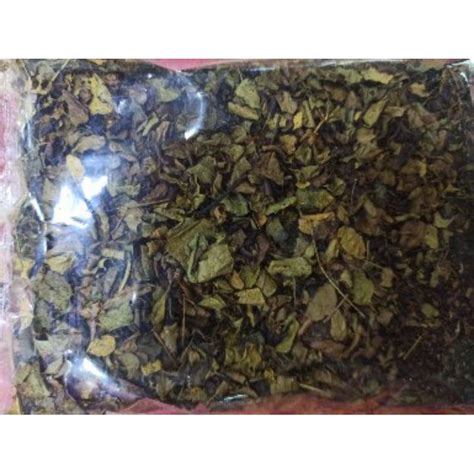 Jual Daun Kelor Segar Gram Moringa Leaves Petik Langsung Dari