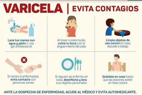 Medidas De Prevenci N Y Control De La Varicela Diario Democracia