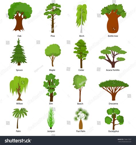 4,568 Various types trees Images, Stock Photos & Vectors | Shutterstock