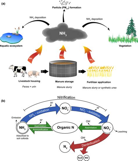 The Environmental Consequences Of Ammonia Emission From Agriculture And Download Scientific