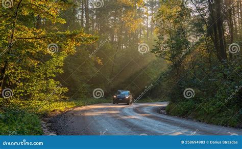 Forest at sunrise road stock image. Image of season - 258694983