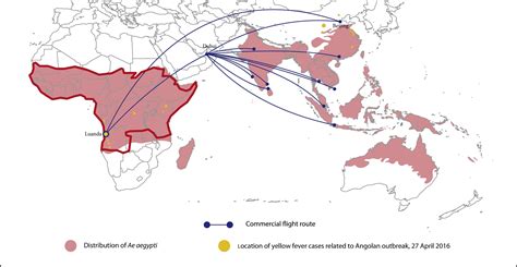 Yellow fever is deadlier than Zika — and it's spreading - Business Insider