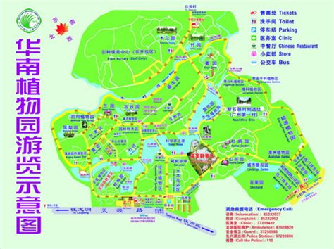 2021中国科学院华南植物园 旅游攻略 门票 地址 问答 游记点评，广州旅游旅游景点推荐 去哪儿攻略