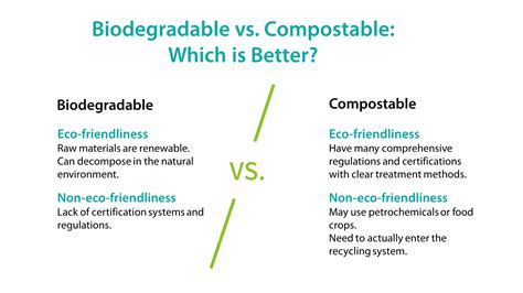 Biodegradable Vs Compostable Differences And Definitions Renouvo