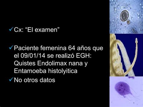 Parasitosis Intestinales Mas Frecuentes PPT