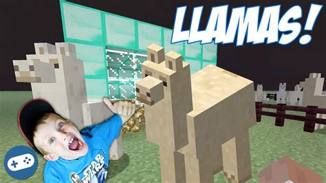 Minecraft Llamas Gameplay With Liam Youtube