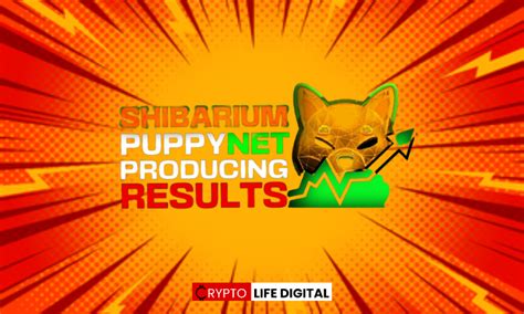 Shiba Inu Community Anticipates Shibarium Mainnet Launch As Puppynet