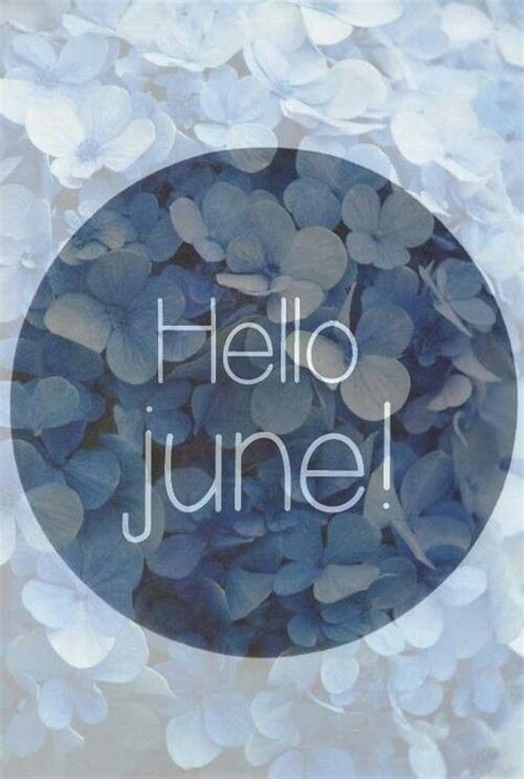 Hello June Nieuwe Maand Wedding Planners Seizoenen