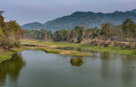 Kaziranga National Park Assam Flora And Fauna TheIndiaExplorer