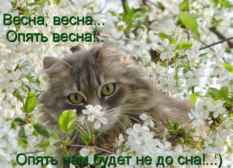 Поздравительная открытка Весеннего настроения!