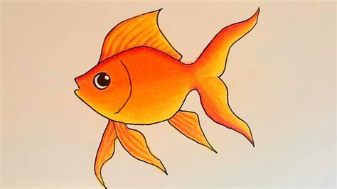 How To Draw Fish Step By Step How To Draw A Fish How To Draw