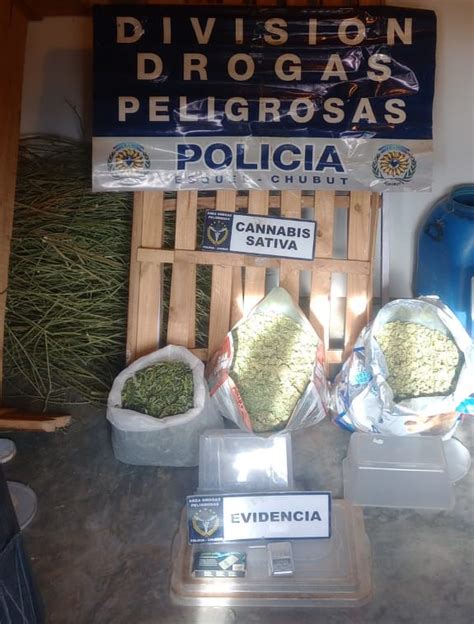 Corcovado En operativo antidrogas la Policía del Chubut secuestró