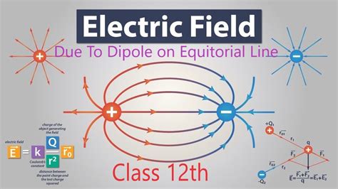 No Net Force On Dipole In Electric Field Diagram Solved Whic