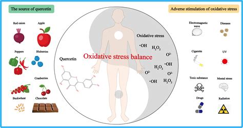 Molecules Free Full Text Antioxidant Activities Of Quercetin And Its Complexes For Medicinal