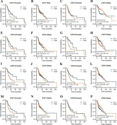 Effects Of E Fs On The Os Of Hnscc Patients Segregated By Gender E F