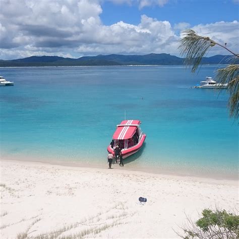 Hamilton Island Reef Ryder Tour All You Need To Know Before You Go 2025