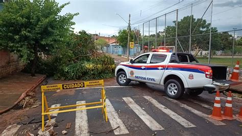 fortes rajadas de vento temporal causa estragos e derruba árvores