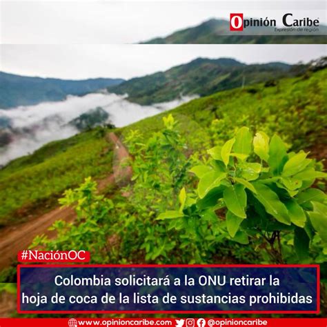 Opinión Caribe on Twitter NaciónOC Colombia y Bolivia plantearán el