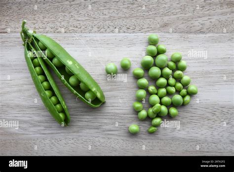 Garden Peas Pisum Sativum And Two Open Pea Pods Isolated On A Wood