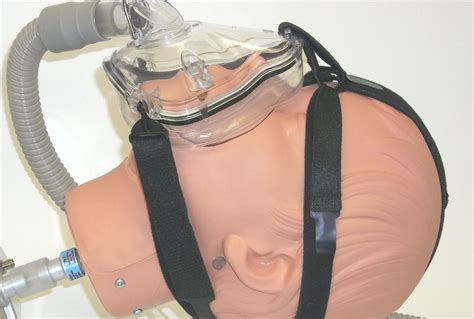 Head Simulator For Real World Test Lung Training Michigan Instruments