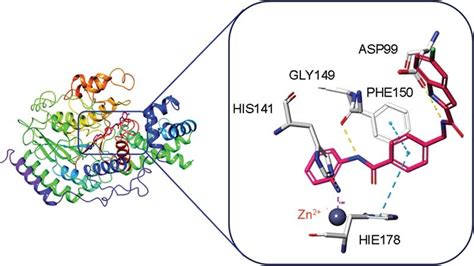 Predicted Binding Modes Of Compound Carbon In Pink With Hdac Pdb