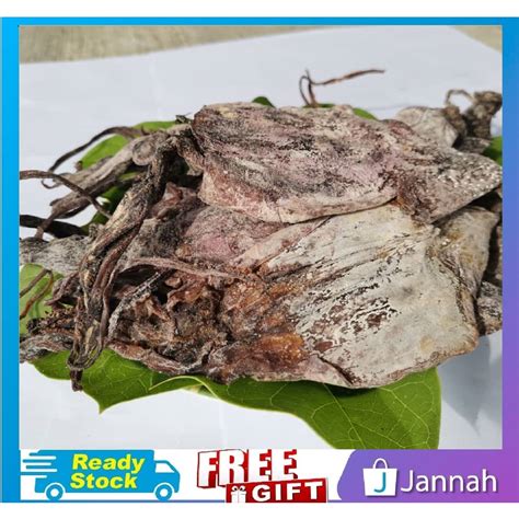 Sh Jannah Sotong Hitam Kering Utk Kembang Black Dried Squid G