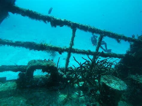 Dressel Divers Cozumel 2022 Alles Wat U Moet Weten VOORDAT Je Gaat