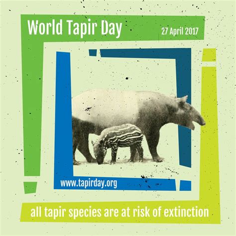 All Categories World Tapir Day