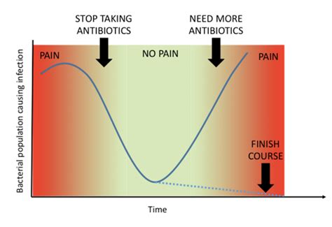 Why You Really Should Take Your Full Course Of Antibiotics