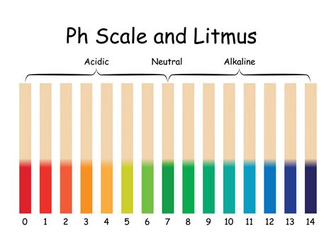 Ph Scale and Litmus Science Design Vector Illustration 30339965 Vector ...