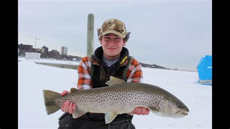 Milwaukee Giant Brown Trout YouTube