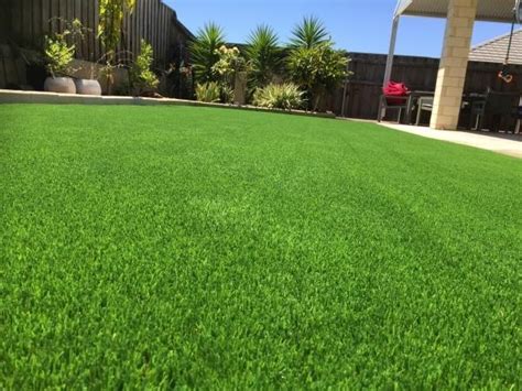 Denmark Spring Artificial Grass Perth Wa Turf Gurus