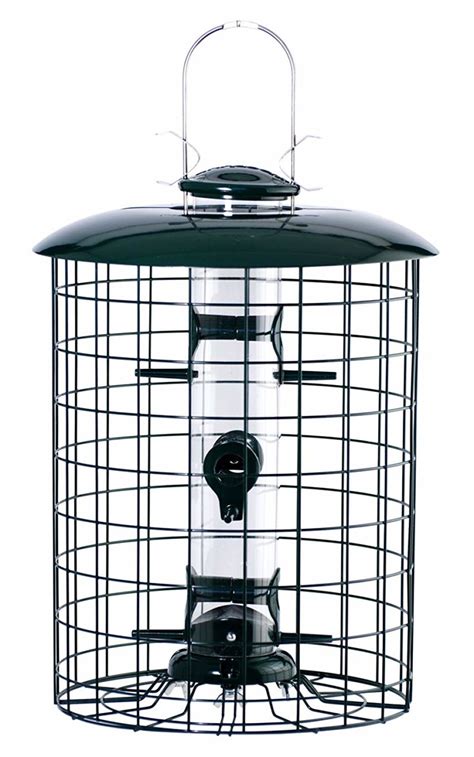 What’s the Best Pigeon-Proof Bird Feeder? (Reviews-2024 ...