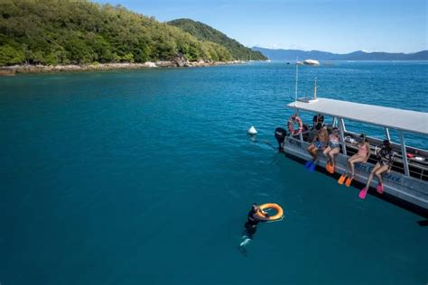 Fitzroy Island Tours Cairns Snorkelling Beach Activities