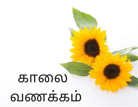 80 Good Morning Tamil Images And Wishes Good Morning Pictures