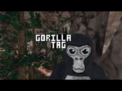 Gorilla Tag Exe The True Experience Youtube