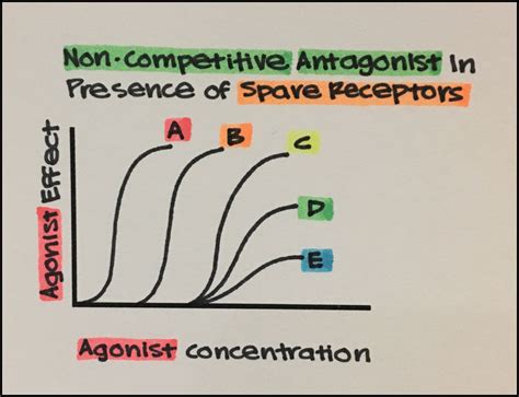 8 Two Main Classes Of Receptor Ligands In Pharmacology Agonists